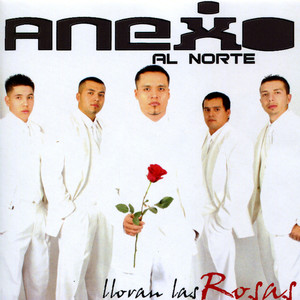 Por Mi y Por Mi Novia