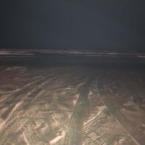 Lights Out (Explicit)