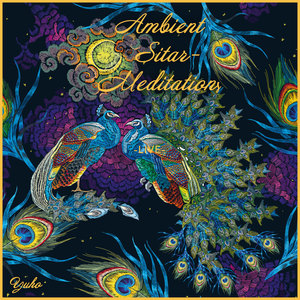 Ambient Sitar- Meditations (Live)