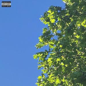 Opinions With Slits (Explicit)