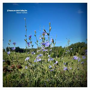 If Dreams are what's Calling You (with Wildflowers)