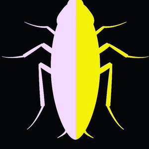 BUGS (feat. Ridzyray) (Explicit)