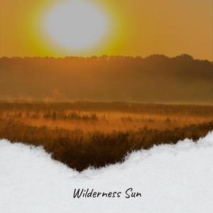 Wilderness Sun