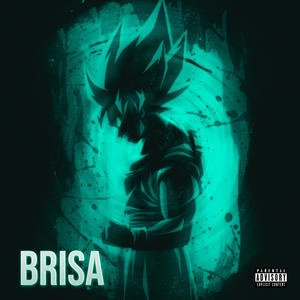 BRISA (Sped Up) (feat. NEXOR)