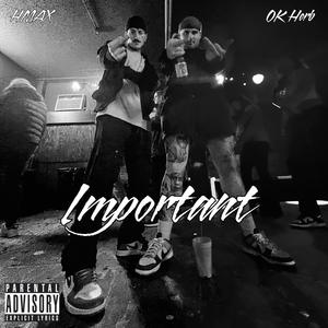 Important (Explicit)