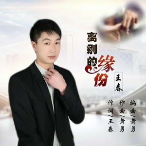 王春 - 离别的缘份
