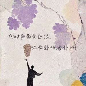 何时葡萄先熟透你要静候再静候