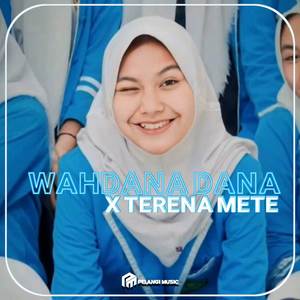 DJ WAHDANA DANA X TERENA METE MENGKANE (Ins)