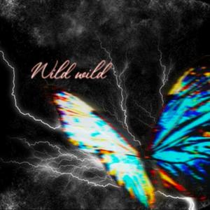 Wild Wild(feat. $ofaygo, Cayo Banks & Yung Fazo) (Explicit)