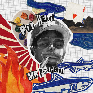 Mr Peaceful Pothead (Explicit)