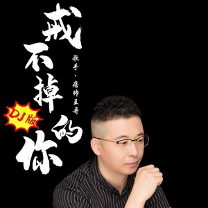 戒不掉的你 (dj版本)