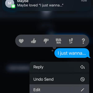 ijustwanna... (feat. Ally Cat & Lace Wilson) (Explicit)