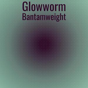 Glowworm Bantamweight