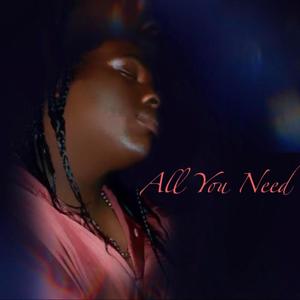 All You Need (Explicit)