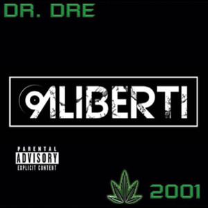Snoop Dogg-The next episode (Aliberti/Dr. Dre Remix)