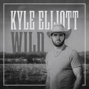 Wild (Acoustic)