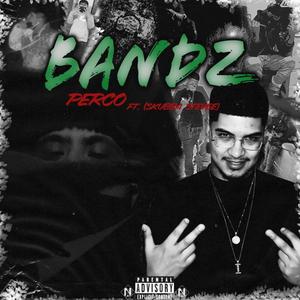 Bandz (feat. SkuBbaStevee) [Explicit]