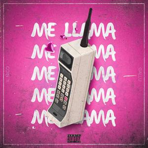 ME LLAMA (Explicit)