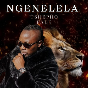 Ngenelela