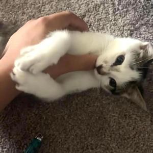 That Song About Me (feat. 666tsukasa) (Explicit)