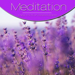 Meditation Vol. Purple