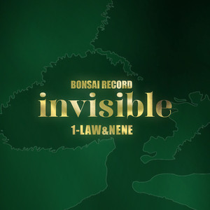 invisible (Explicit)