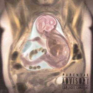 Out the Womb (Explicit)