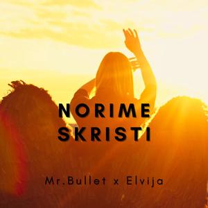 Norime Skristi (feat. Elvija)