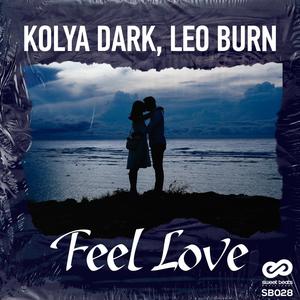 Feel Love (Original Mix)