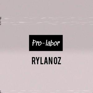 Pro-labor (Explicit)