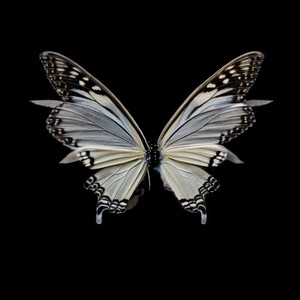 Let Her Leave (Explicit)