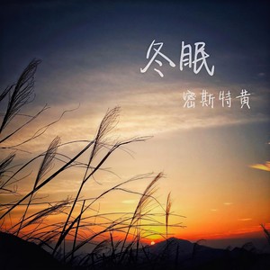 密斯特黄 - 冬眠 - 烟嗓版