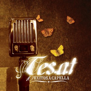 Tes-a-T - Un Millon de Amigos