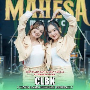 CBLK ( Cinta Lama Bersemi Kembali )