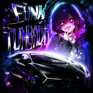 FUNK TUMBADO (Slowed Down)