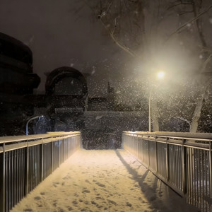 Dear D (亲爱的告诉你) (DJ版)