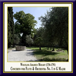 Flute Concerto No. 1 in G Major, K. 313 - I. Allegro maestoso