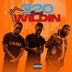 Wildin' (feat. 320 Maze & 320 Sneak) [Explicit]