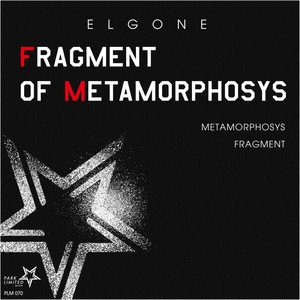 Fragment Of Metamorphosys