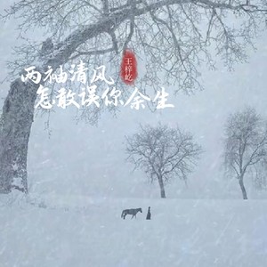 王梓屹 - 两袖清风怎敢误你余生