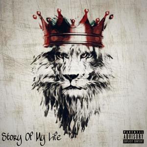 Story Of My Life (feat. Hood Princess) (Explicit)