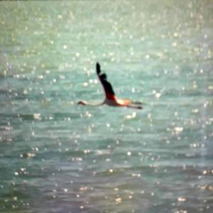 Cross (feat. A5ve) (Explicit)