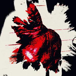 stokk (feat. sntixgxroman) (Explicit)