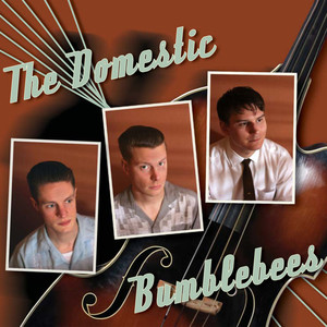 The Domestic Bumblebees