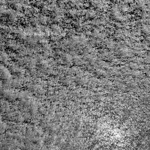 Snow In The Air