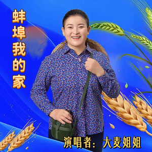 蚌埠我的家 (新版伴奏)