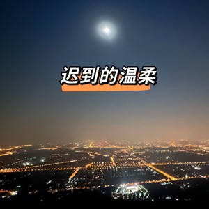 迟到的温柔 (Demo)