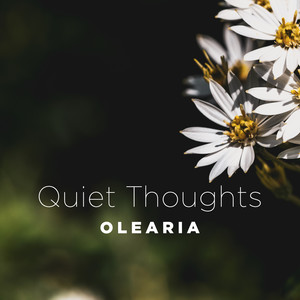 Olearia