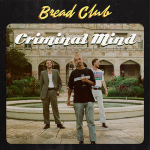 Criminal Mind