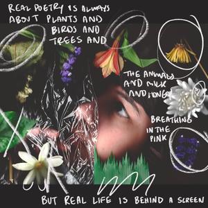 Real poetry is always about plants and birds and trees and the animals and milk and honey breathing in the pink but real life is behind a screen (Explicit)